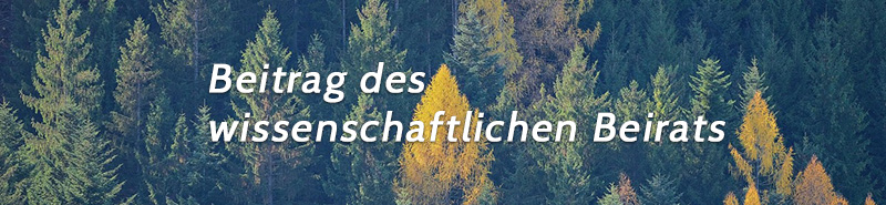 Vorstellung der Vorsitzenden des wissenschaftlichen Beirats